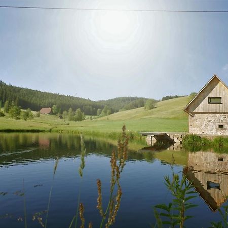 Вилла Ferienhaus Im Schwarzwald Am See "Backhaeusle" Хорнберг Экстерьер фото